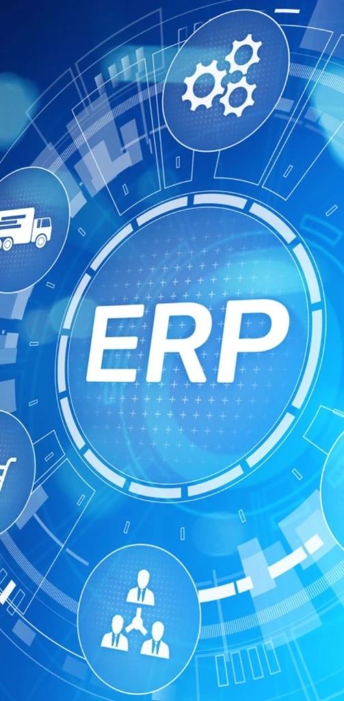 SAP MM, SD, FI Grundlagen