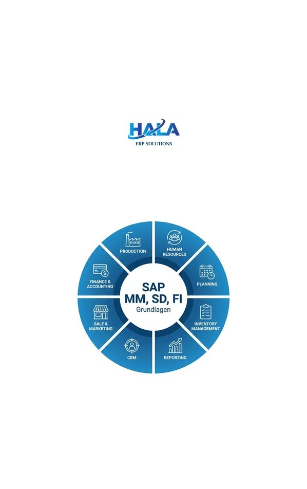 SAP MM, SD, FI Grundlagen