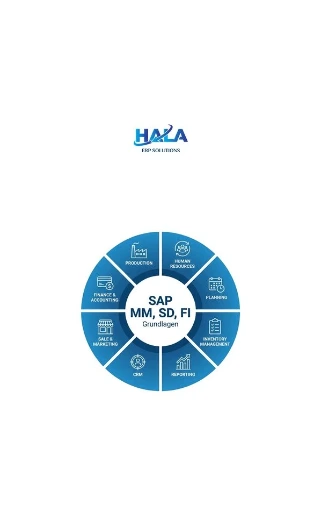 SAP MM, SD, FI Grundlagen